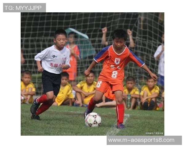 足球比赛中通常有多少人参与和观看的详细解析